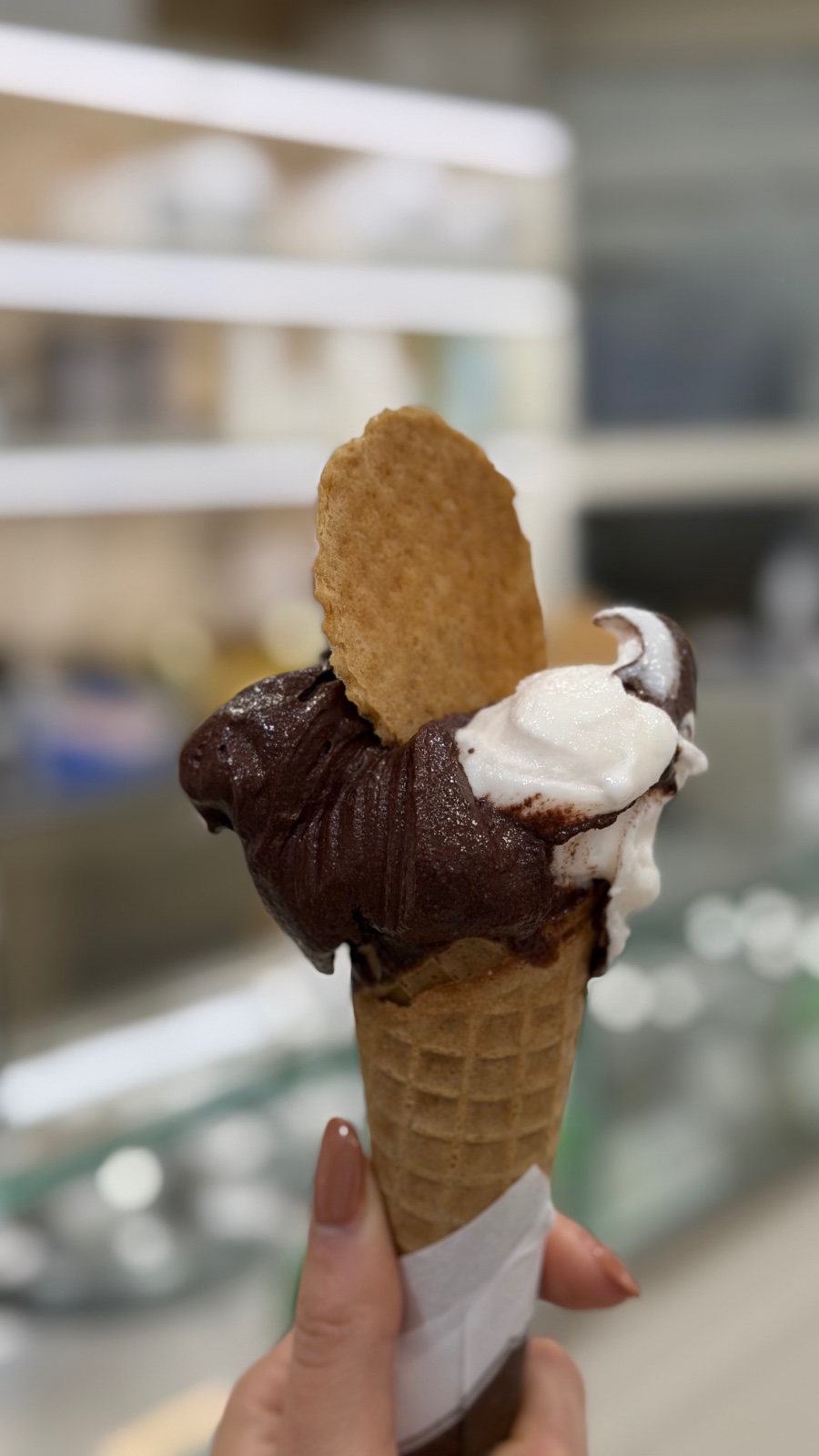 Fior di Loto Gelateria