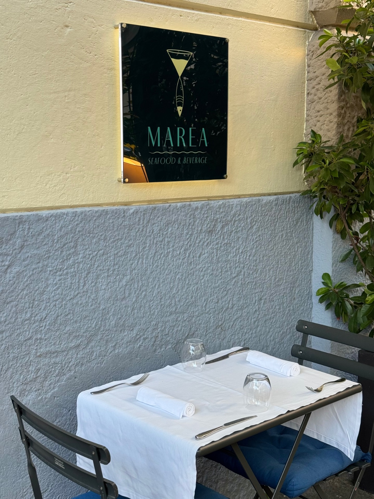 Marea
